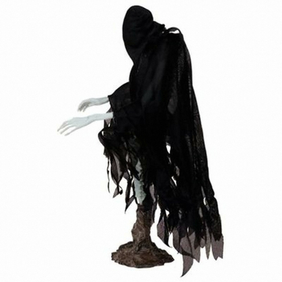 ���ظ����� �����