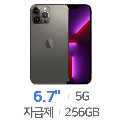 아이폰13 프로 맥스 256GB, 자급제