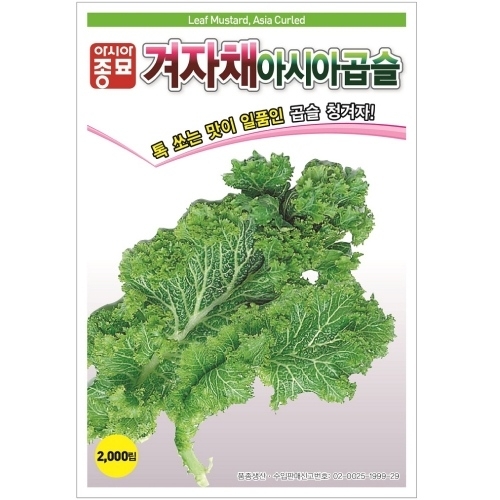 아시아종묘 겨자씨앗종자 겨자채 청곱슬겨자 2000립