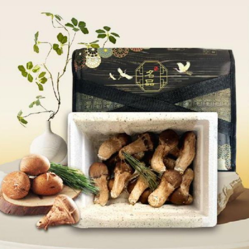 참송이산향 참송이 버섯 선물세트 500g(1개)