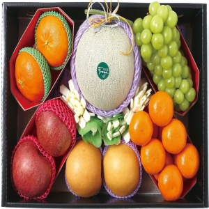 프리미엄 제수용과일 선물세트 4.5kg