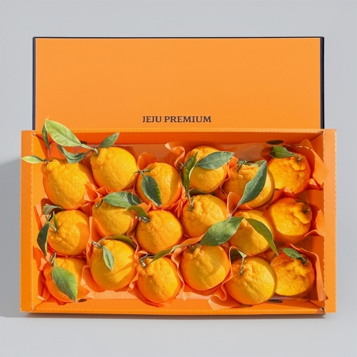 친환경팔도 명품제주 프리미엄 한라봉 선물세트 4.5kg 중과