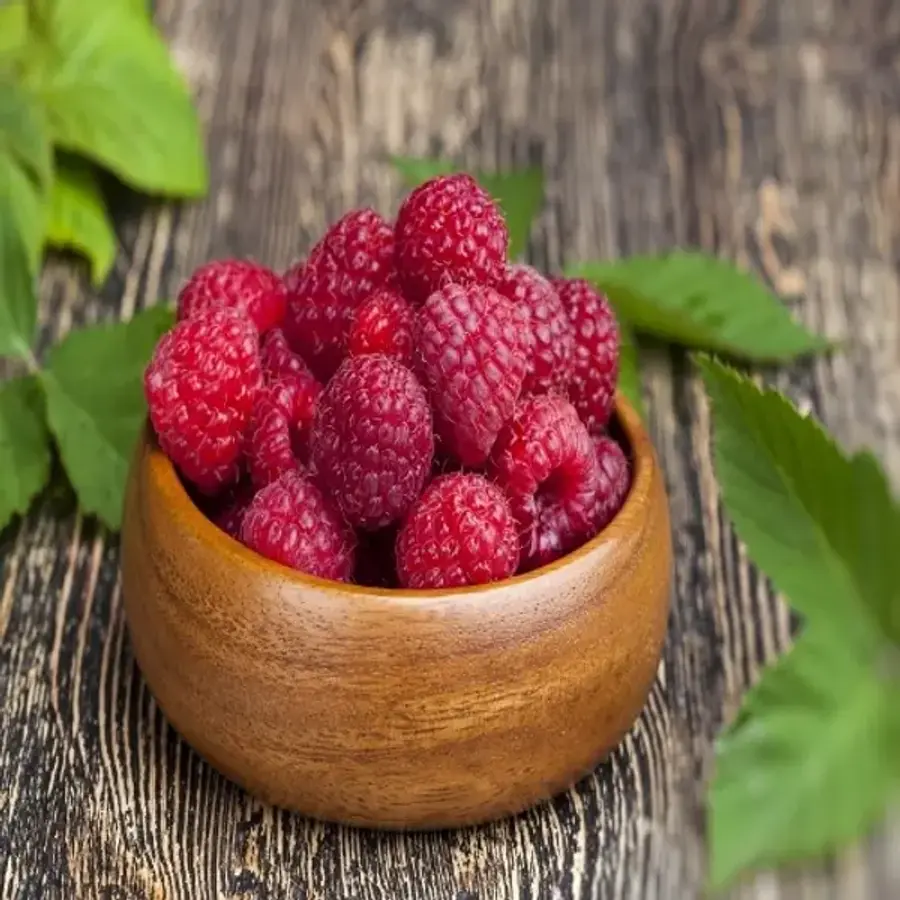 ���̿�Ǫ�� ����� ���� 250g