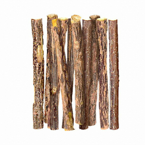 Ĺ��Ʈ �������� ��ƽ S