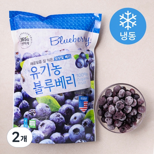 냉동 유기농 블루베리 500g