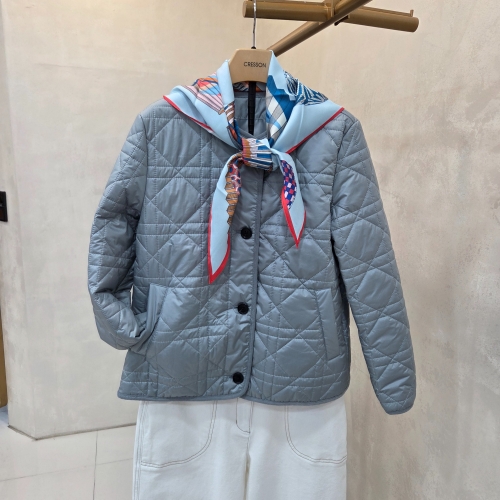 ũ���� ��ī�� ���� �淮�е� NWCGDG60DG