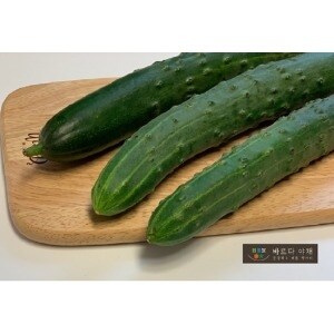 바르다야채 수분가득 취청<b>오이</b> 특 1kg