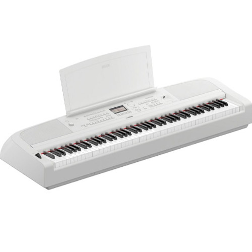 �߸��� DGX-670