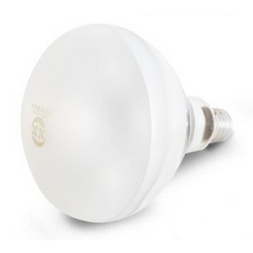 Ÿ�ö� ��� ���� ����