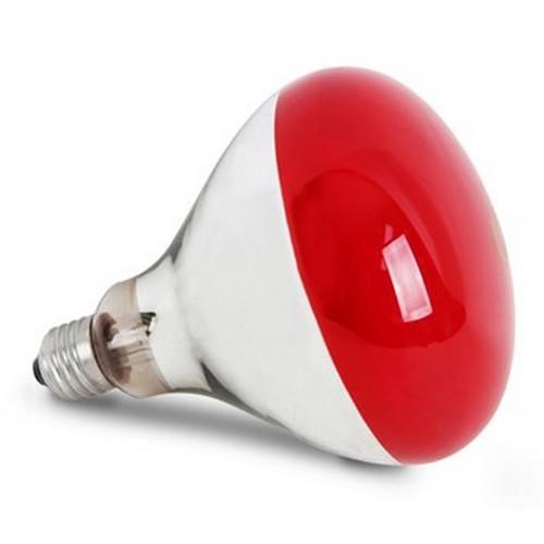 타올라 욕실 램프 히터_이미지