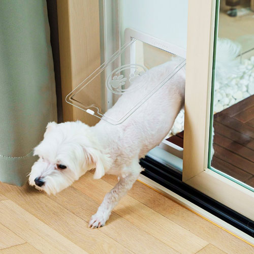 바라바 강아지 안전문_이미지