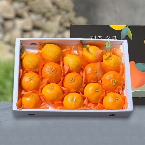 친환경팔도 명품제주 프리미엄 귤 3종 선물세트 4.5kg