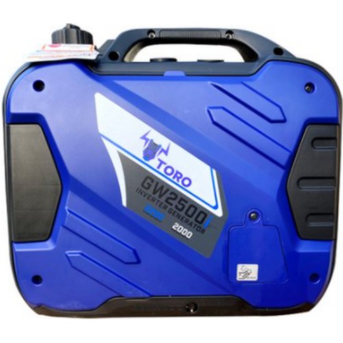 GW2500IS
