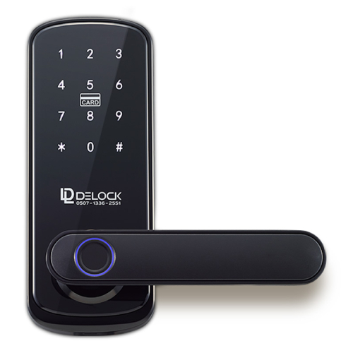 �����ν� DELOCK-Y10