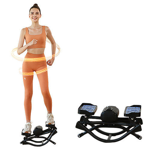 포바디 트위스터 스텝퍼