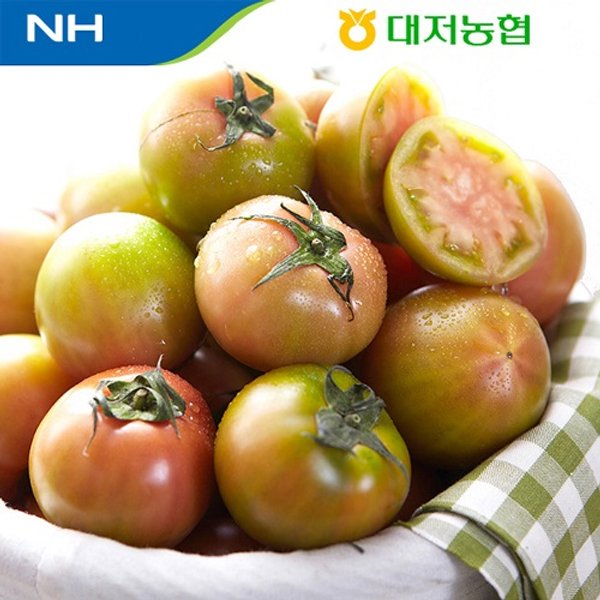 �������� 2026 ���� �丶�� M 2kg