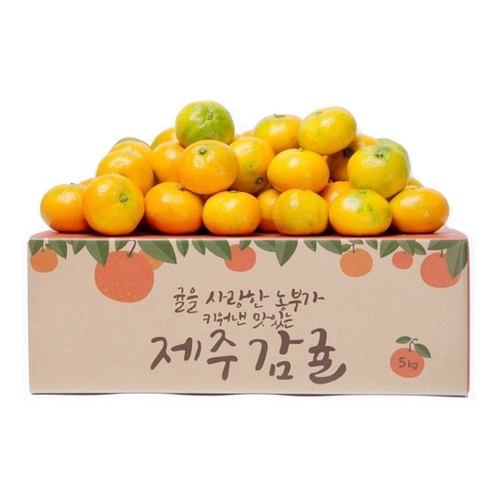 감동 제주 서귀포 햇 감귤 프리미엄과 5kg (1개)_이미지
