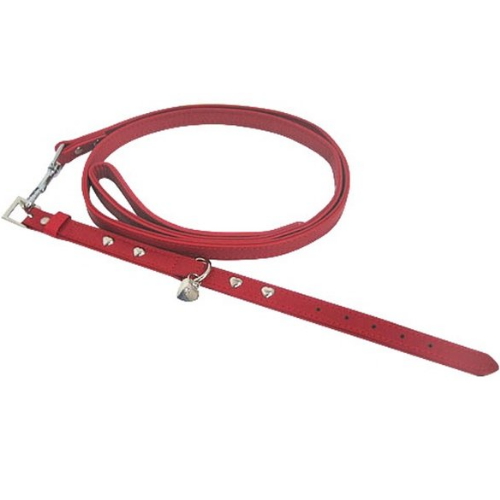 [불명] CW 가죽 목줄세트