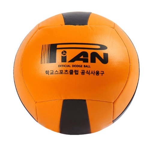 피안 정식 피구공_이미지