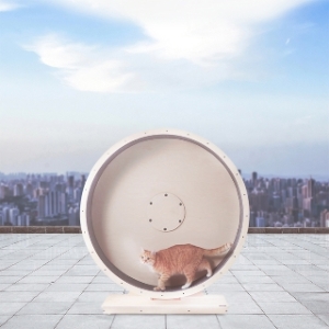 [�Ҹ�] ����Ĺ Ŭ���� ������ Ĺ��