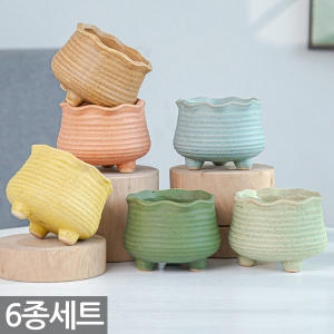 [불명] 세발 다육 화분 세트 6종  다육이 화분세트 식물 분갈이 도자기 실내 사무실 인테리어 다육화분 홈카페_이미지