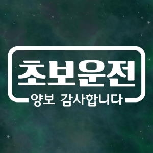 제제데코 심플라인 초보운전 스티커_이미지