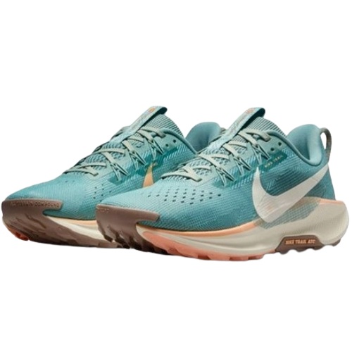 나이키 페가수스 트레일 5 DV3865-010 (공식판매처)_이미지