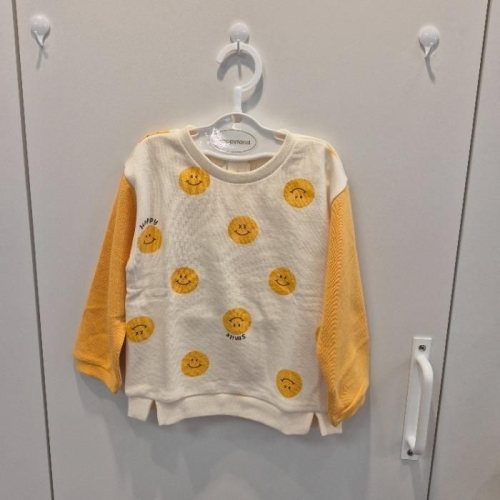 ���Ƿ���F&C ���Ƿ��� HC07 ���̸����� HY5-533P7-S3-6