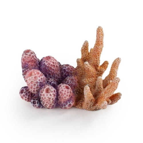 ��� ��ũ ��ȣ�� �ظ� �ǱԾ�