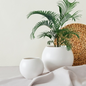 [�Ҹ�] ���׾Ƹ� ���� ���ڱ� ȭ�� ȭ��Ʈȭ�� ���׸���