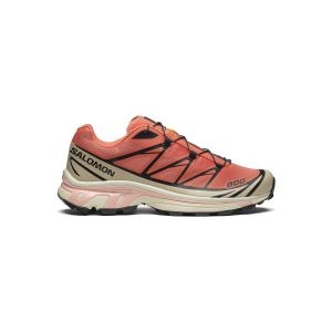 ��θ� XT-6 ���� �ڶ������ø�Ʈ / L47445000 289472