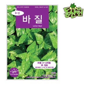 동산원  바질 바질씨앗 바실씨앗 바실 허브 허브씨앗 씨앗 씨