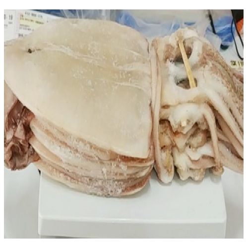 고성유통 반건조 오징어 피데기 특대 10개(마리) 1.9kg내외