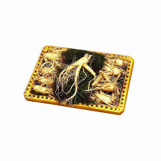 대경인삼 풍기인삼 5년근 수삼 1채 10~15뿌리 750g (1개)