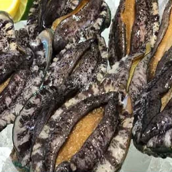 완도산 전복 대 13~15개(마리) 1kg