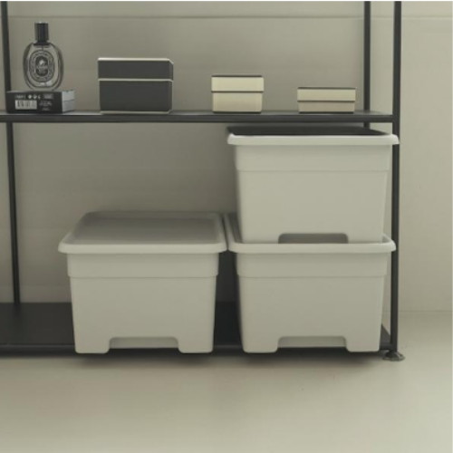 ���ö�ƽ �����ǽ�Ʈ �Ե�� ��Ʈ�� ���� ������ ��