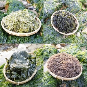 완도총각네 햇 꼬시래기 2.5kg (1개)_이미지
