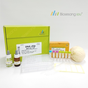 DNA chip 질병 진단 검사 5인KIT ED4014