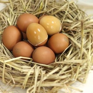 파인식품 구운계란 30구_이미지