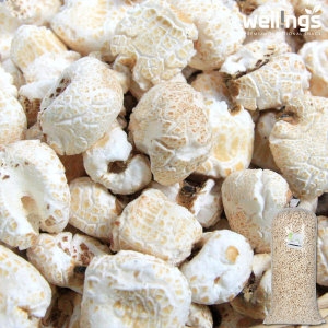 찰옥수수 강냉이 5.5kg