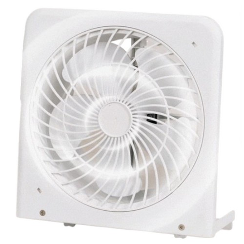 �̳�ƽ� �޹ڽ� ������ â���� ȯǳ��