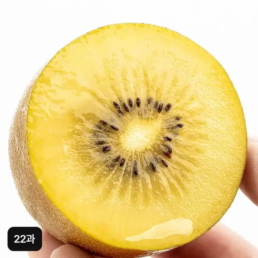 썬골드키위 대사이즈 22과 2.6kg + 스푼 1개