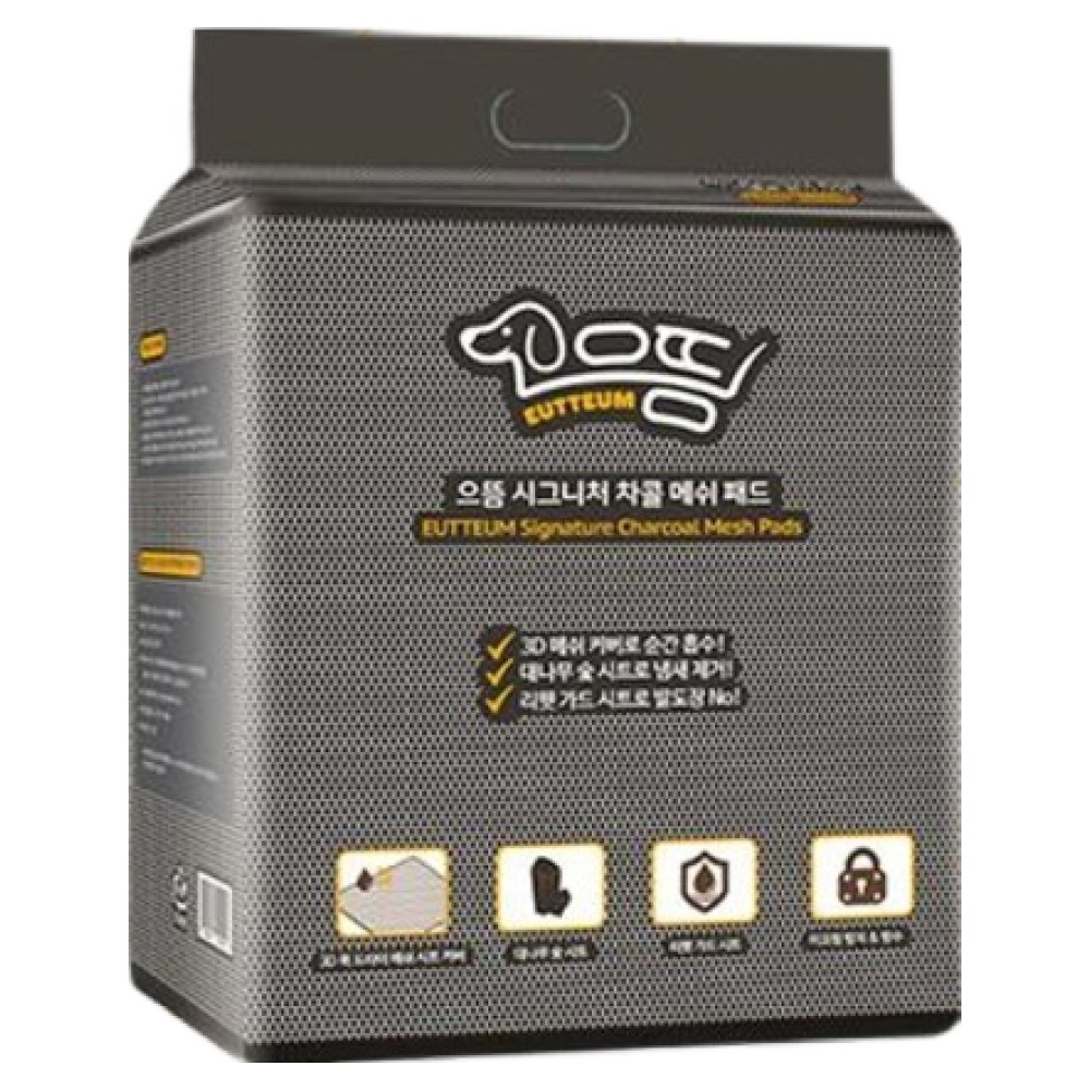 으뜸 시그니처 차콜 메쉬 패드 특대형 15매