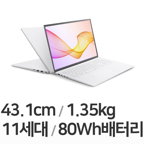 LG전자 2021 그램17 <b>17ZD90P-GX56K</b>