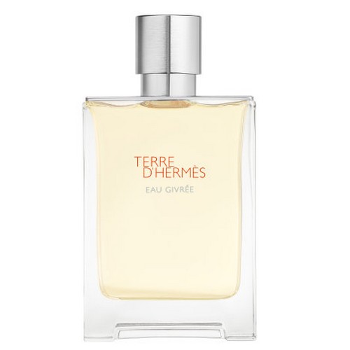 에르메스 떼르 데르메스 오 지브레 EDP (100ml)_이미지