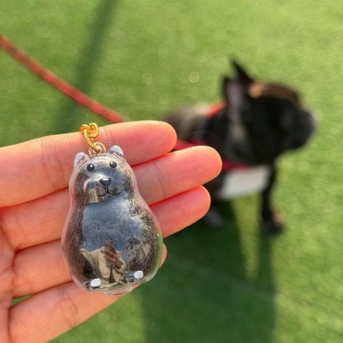 셀러허브 반려 강아지 털 키링 만들기 열쇠 고리 키링 S45791084