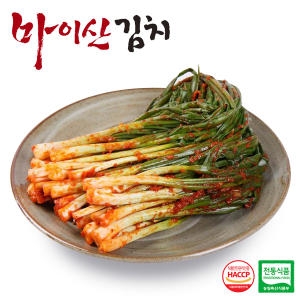 한국농협김치 전북 대표김치 마이산 파김치1kg