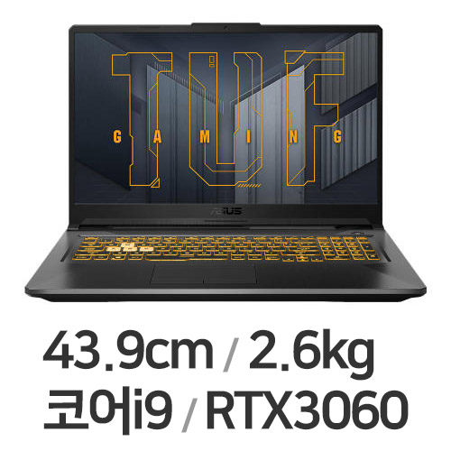 ASUS TUF Gaming F17 FX706HM-HX006 WIN10 64GB램 (SSD 1TB)