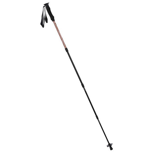 레드페이스 파이크 포스텝 스틱 REEGSTX24101PI