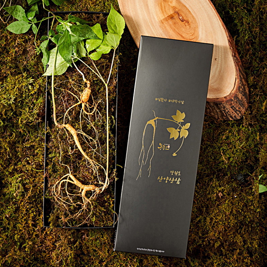 명가일품 명가천삼 강원도 토종 산양삼 5~6년근 3뿌리 (1개)